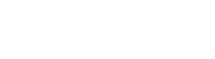 Peravia Motors